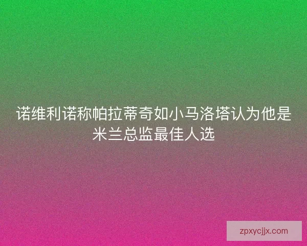 诺维利诺称帕拉蒂奇如小马洛塔认为他是米兰总监最佳人选