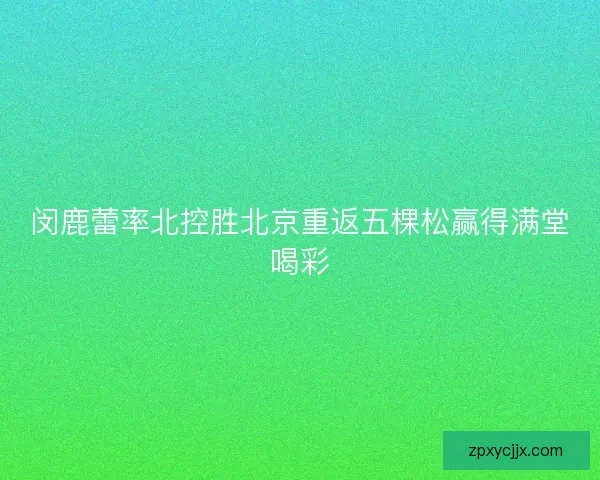 闵鹿蕾率北控胜北京重返五棵松赢得满堂喝彩