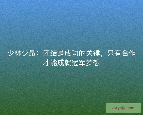 少林少昂：团结是成功的关键，只有合作才能成就冠军梦想