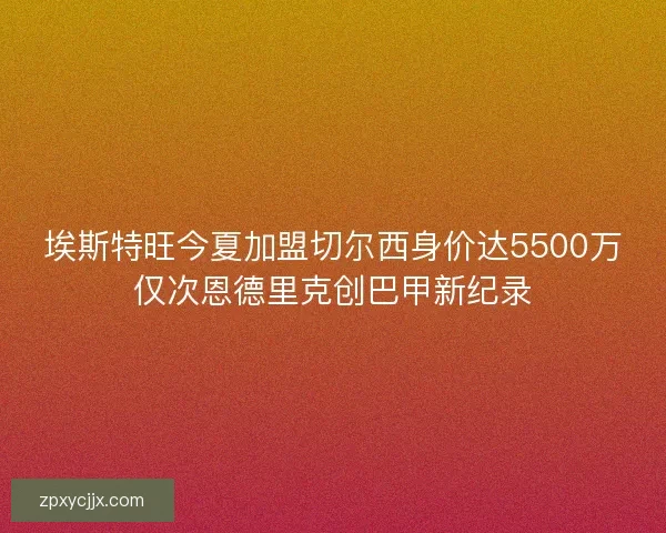 埃斯特旺今夏加盟切尔西身价达5500万仅次恩德里克创巴甲新纪录