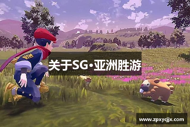 关于SG·亚洲胜游